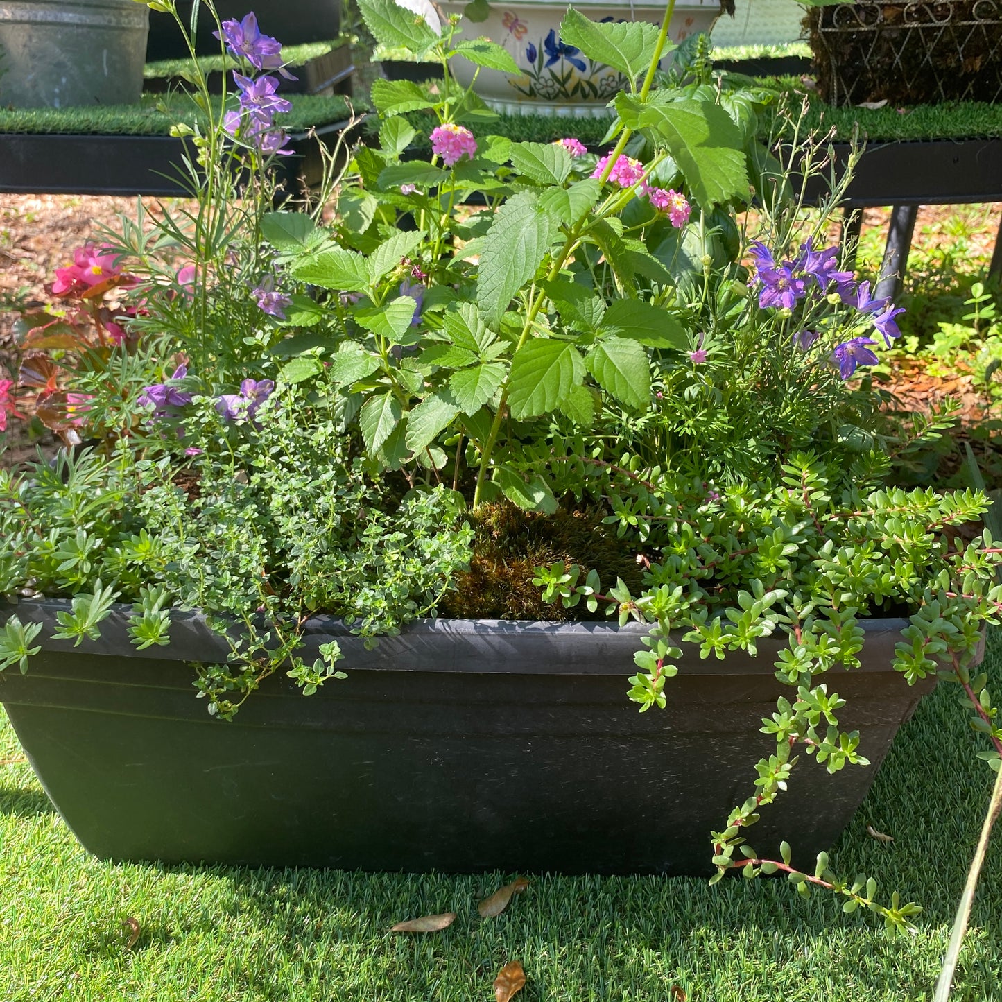 Window Box Garden Planter