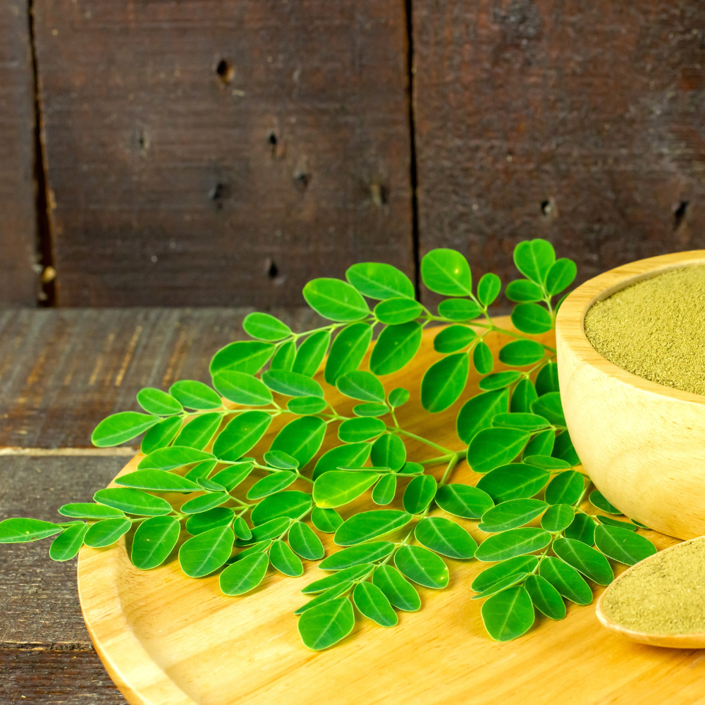 Moringa supplement