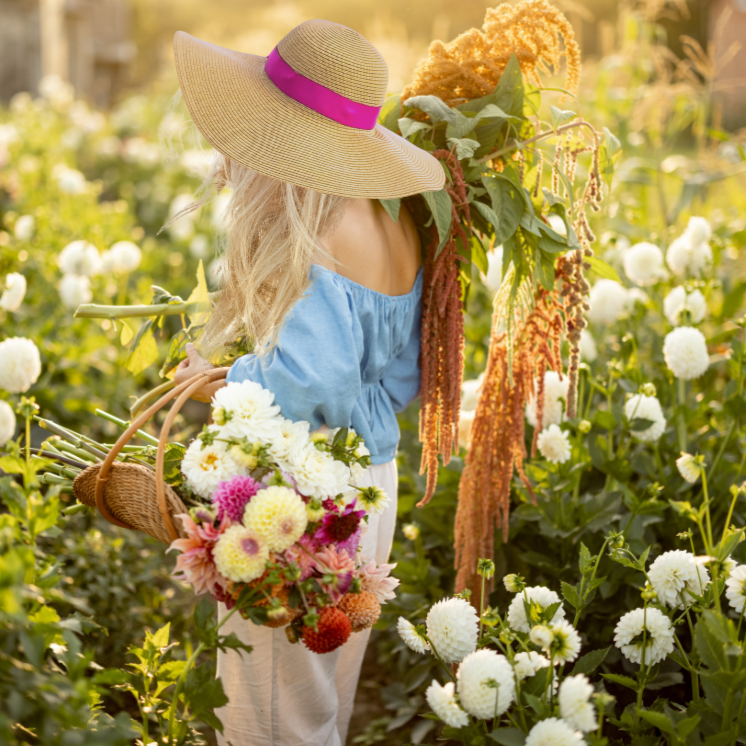 Sunkissed Garden Flower Farm