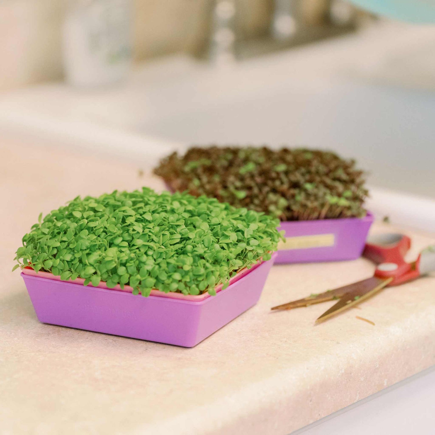 Micro Green Kits