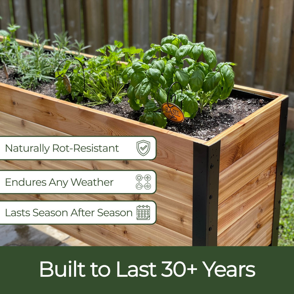 18" x 36" Planter Box - 24" TALL / Select Grade
