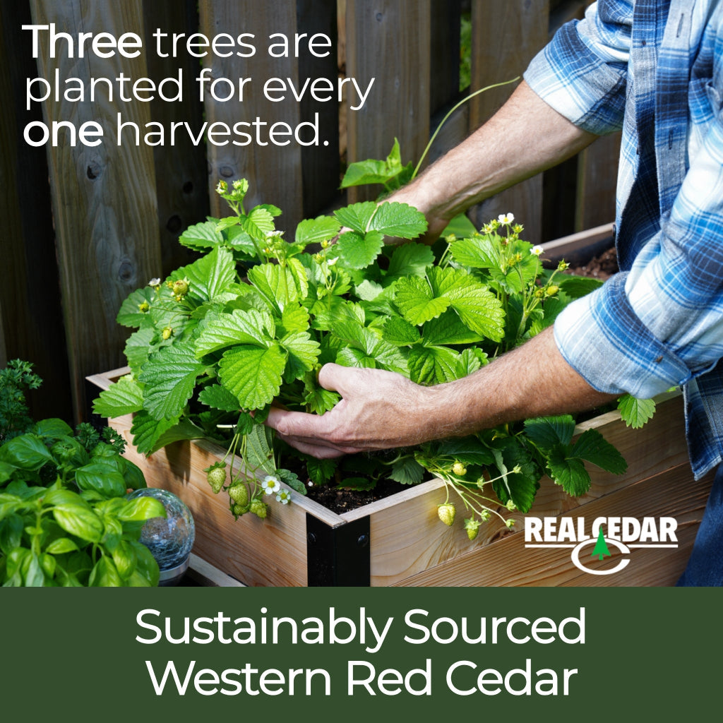 18″ x 24″ Raised Garden Bed - 30" TALL / Select Grade