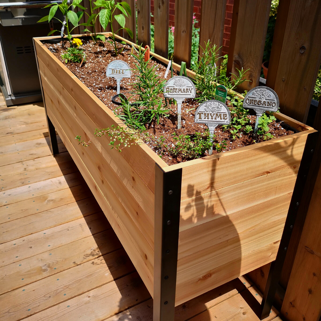 Wooden raised garden bed with plants and labeled markers on a wooden deck.