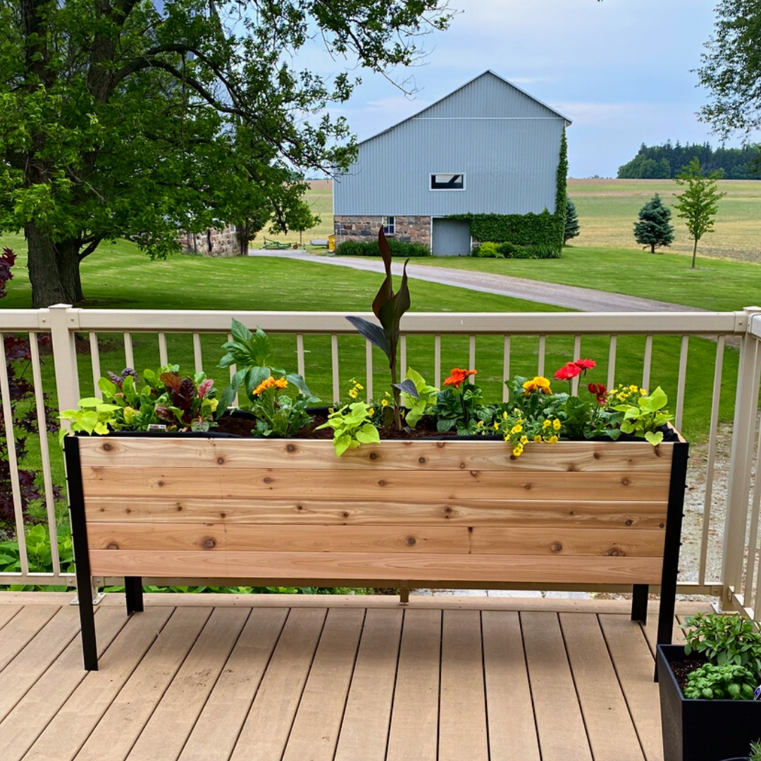 18" x 72" Raised Garden Bed - 30" TALL / Select Grade