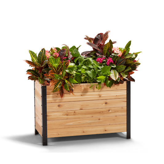 18" x 36" Planter Box - 24" TALL / Select Grade