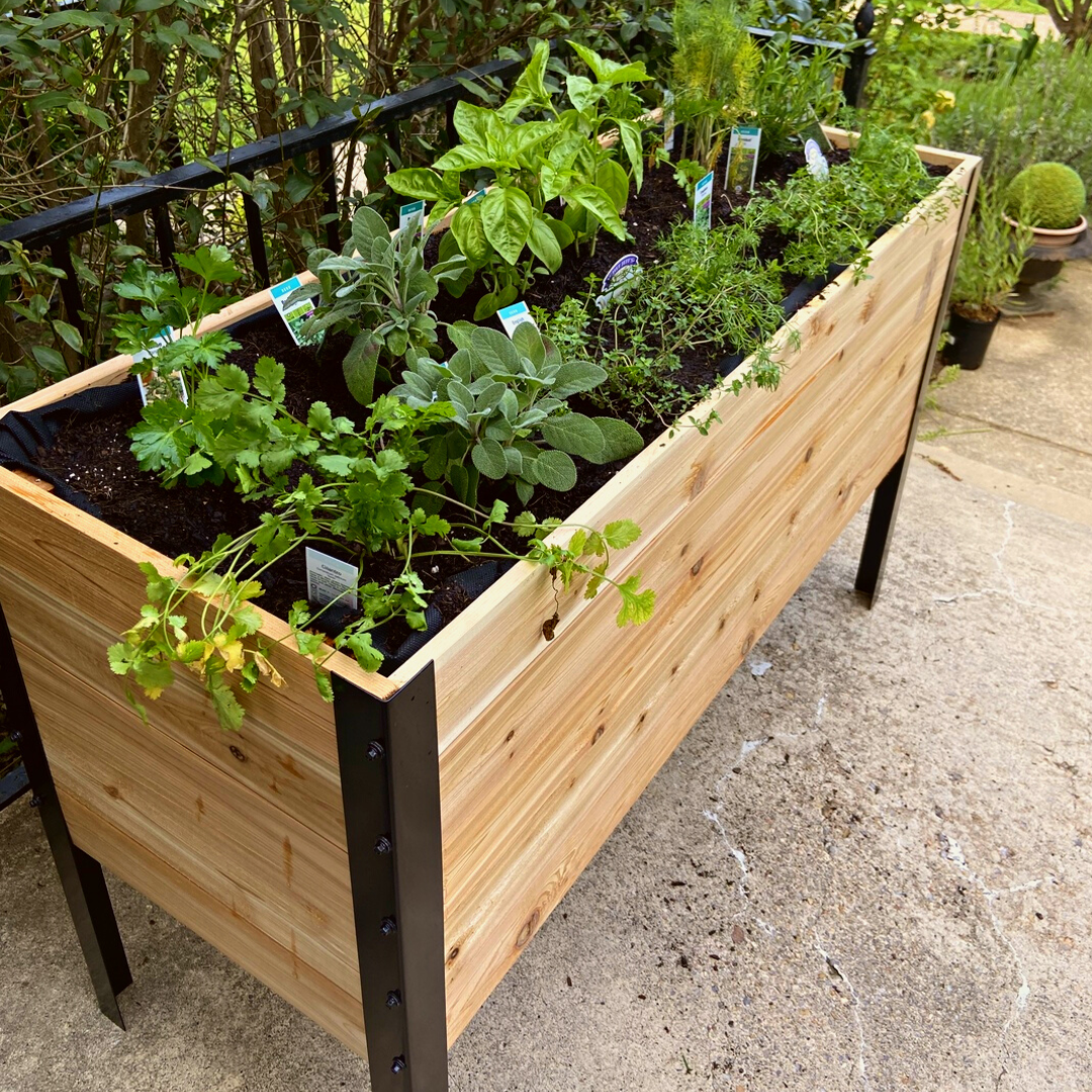 18" x 48" Raised Garden Bed - 30" TALL / Select Grade