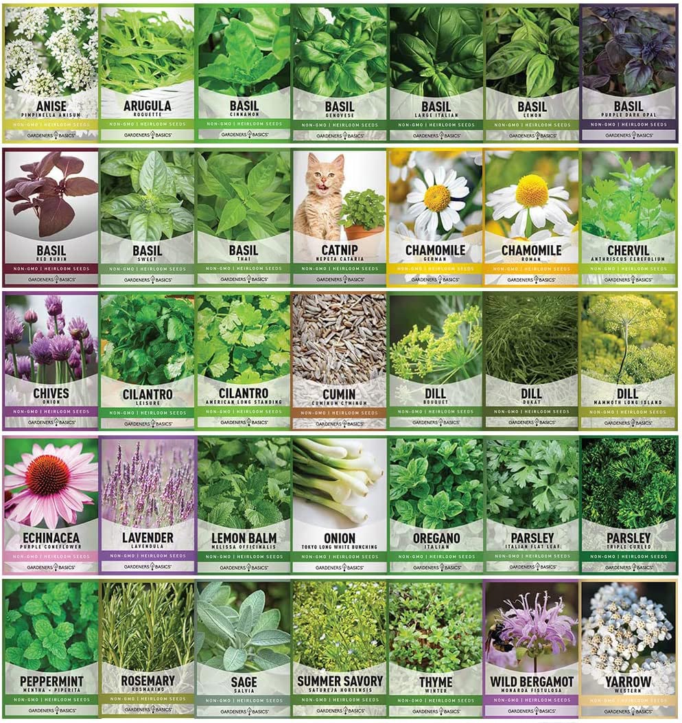 Gardeners Seed Vault Kit - 70 Varieties of Vegetable and Herb Seeds for Your Garden