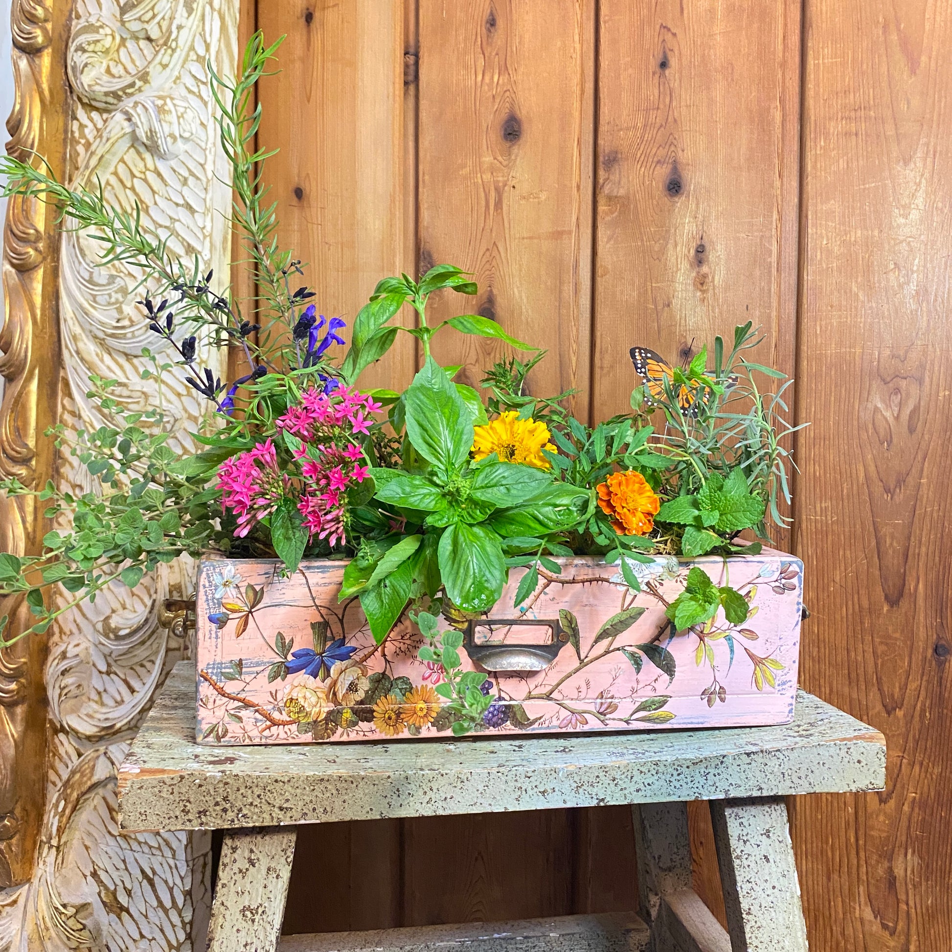 Decorative planter with flowers on a wooden surface