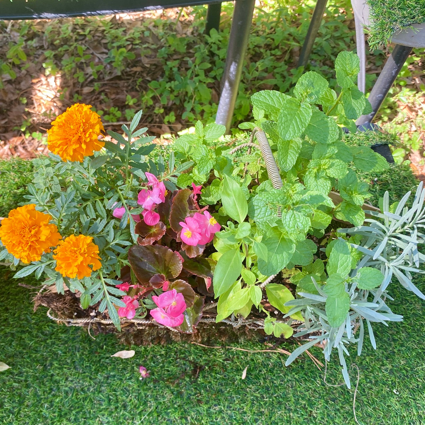 Cottage Herb & Flower Garden Basket