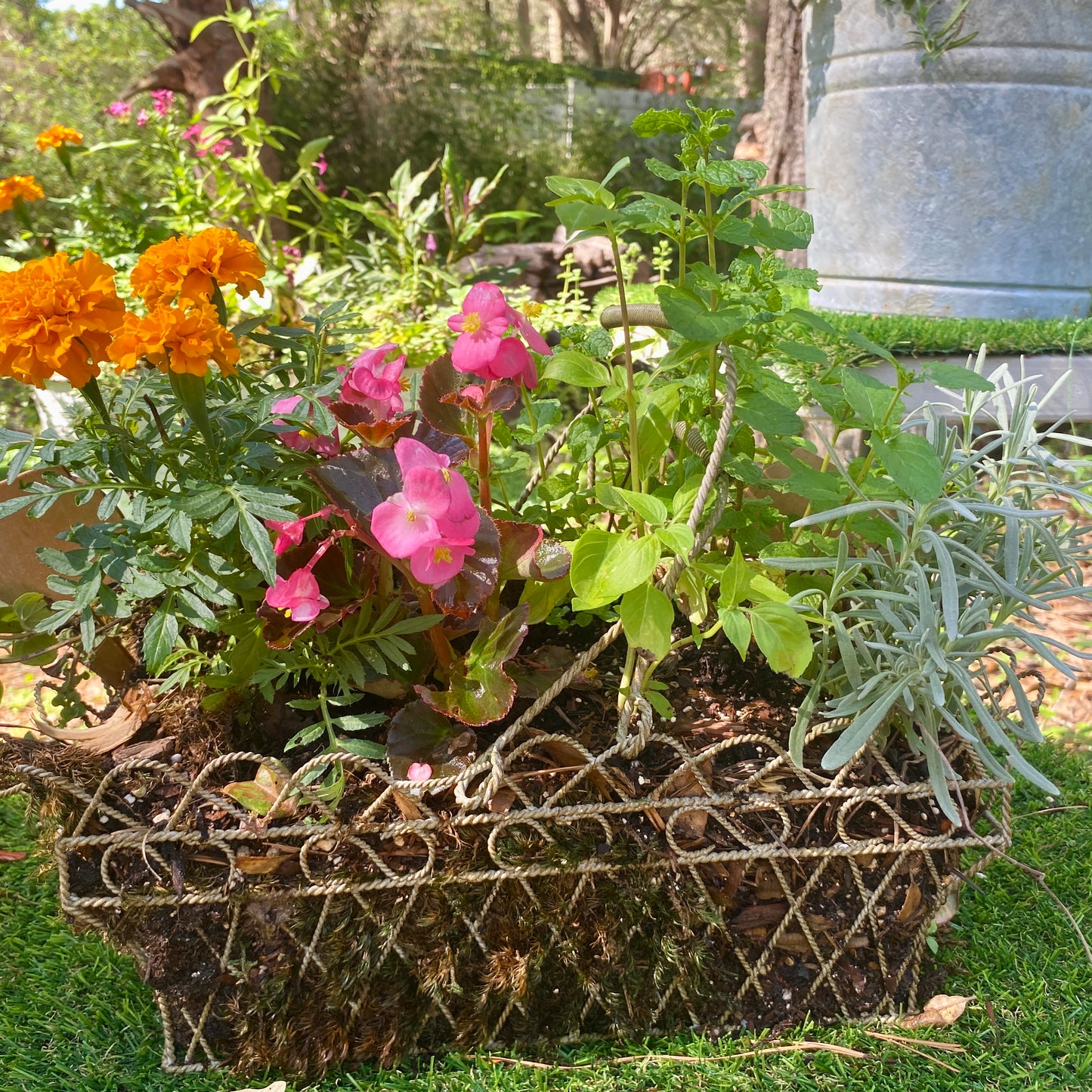 Cottage Herb & Flower Garden Basket