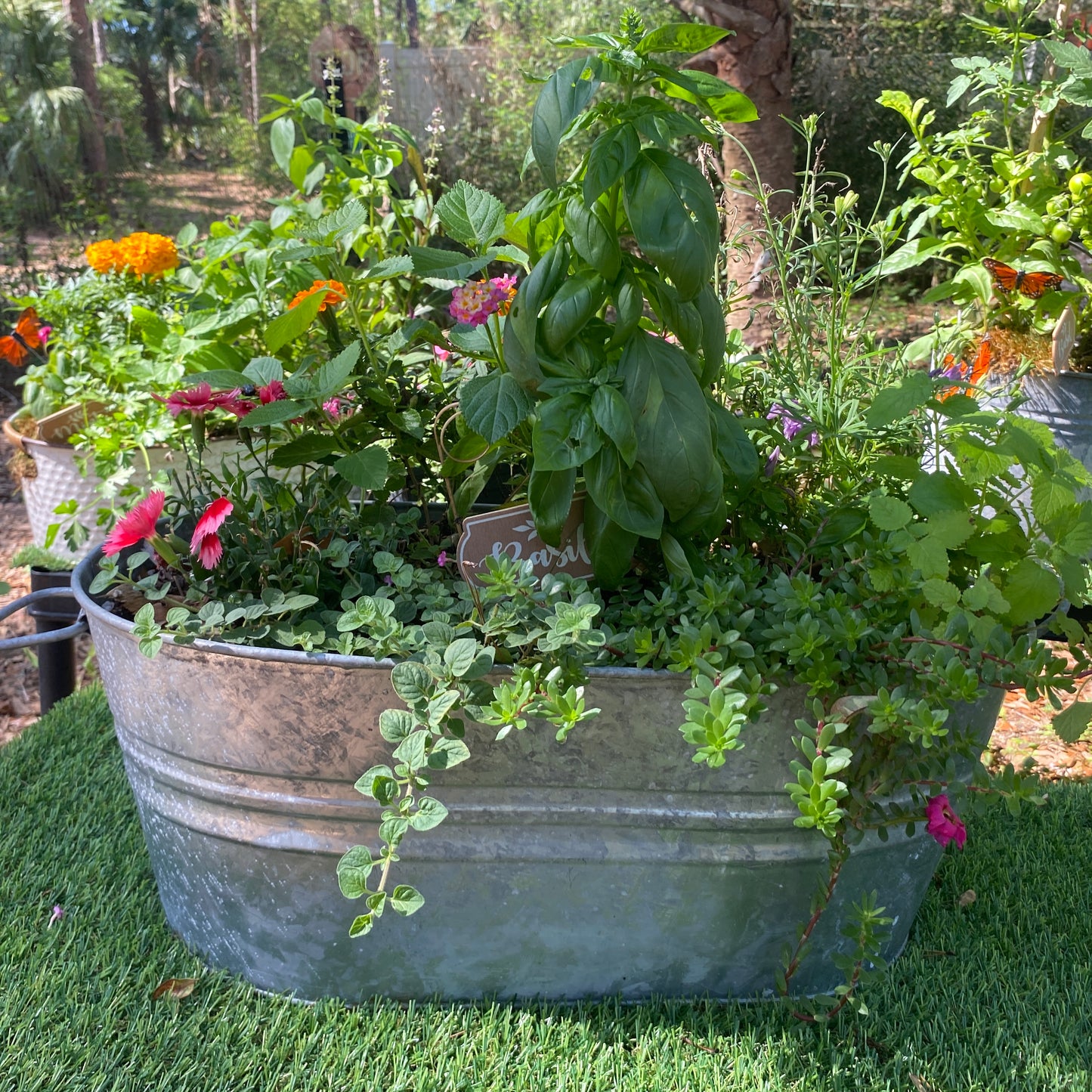 Vintage Tub Herb Garden