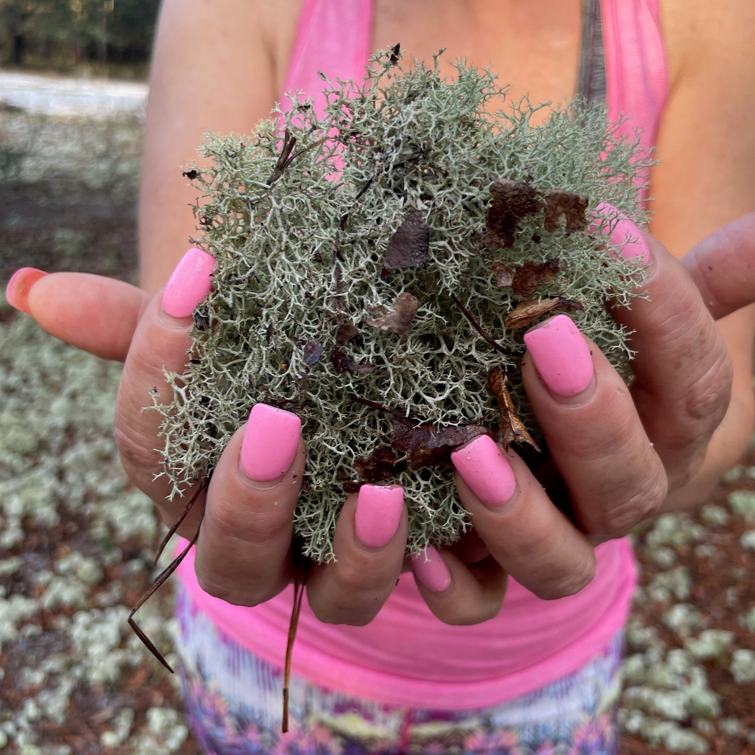 Person holding a clump of lichen with pink nail polish in an outdoor setting