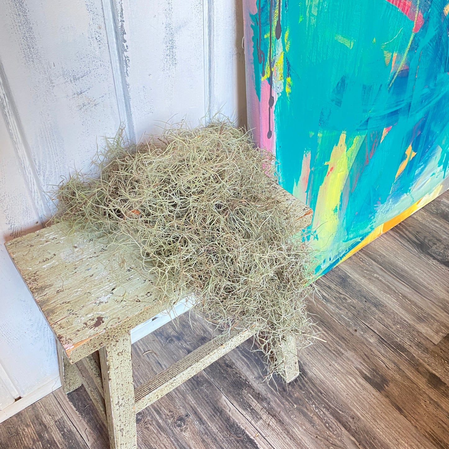 Spanish Moss