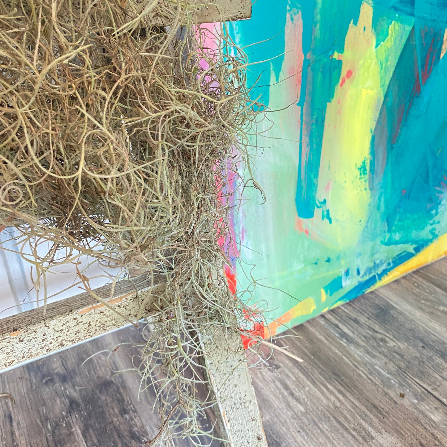 Spanish Moss