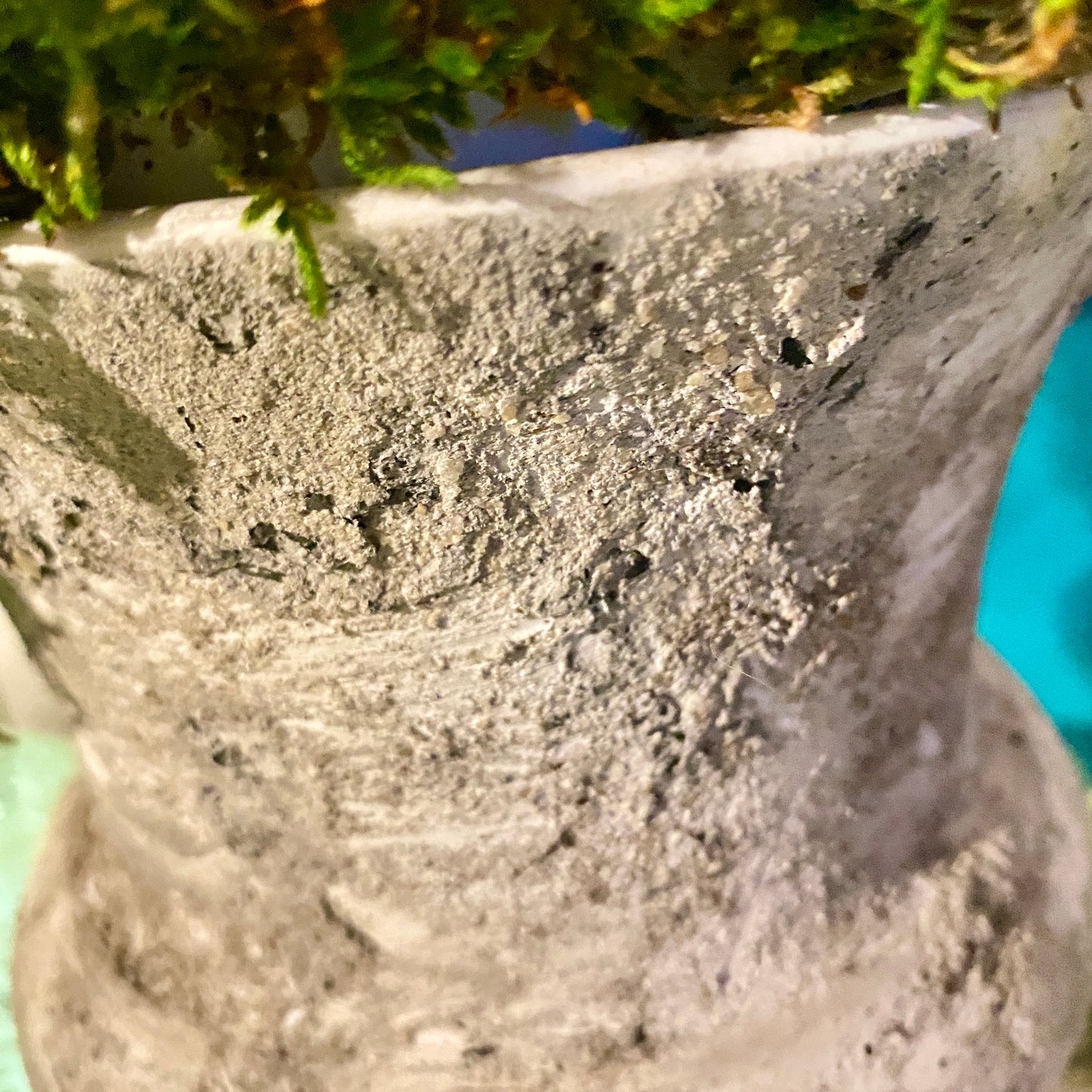 Monstera Deliciosa 'Thai Constellation' in Distressed Faux Urn
