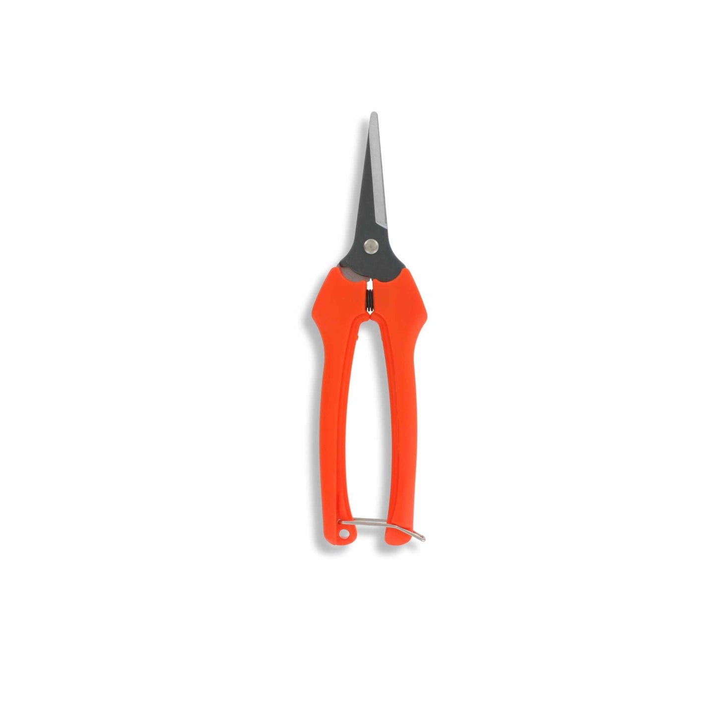 Harvesting Pruning Shears | 185 mm