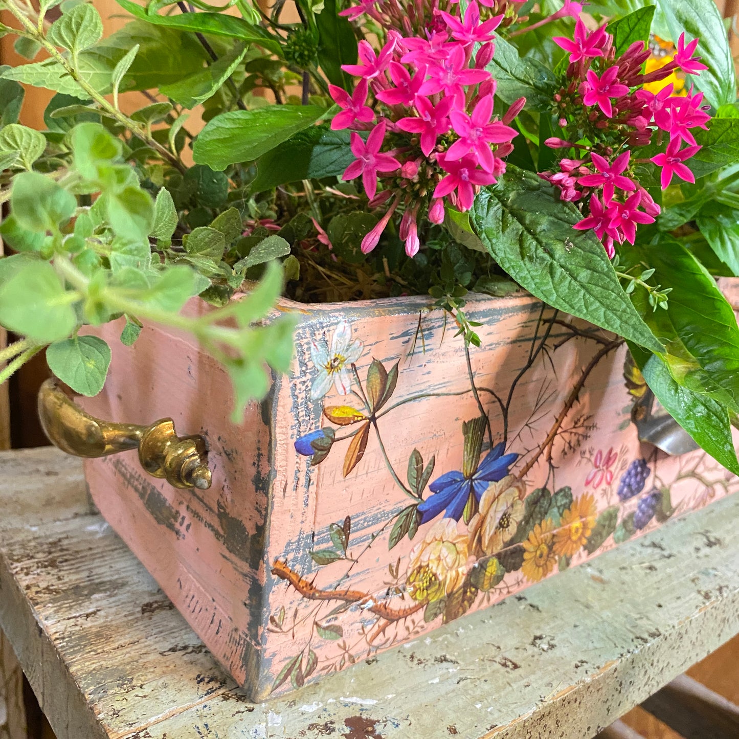 Decorative pink planter with floral design on a wooden surface