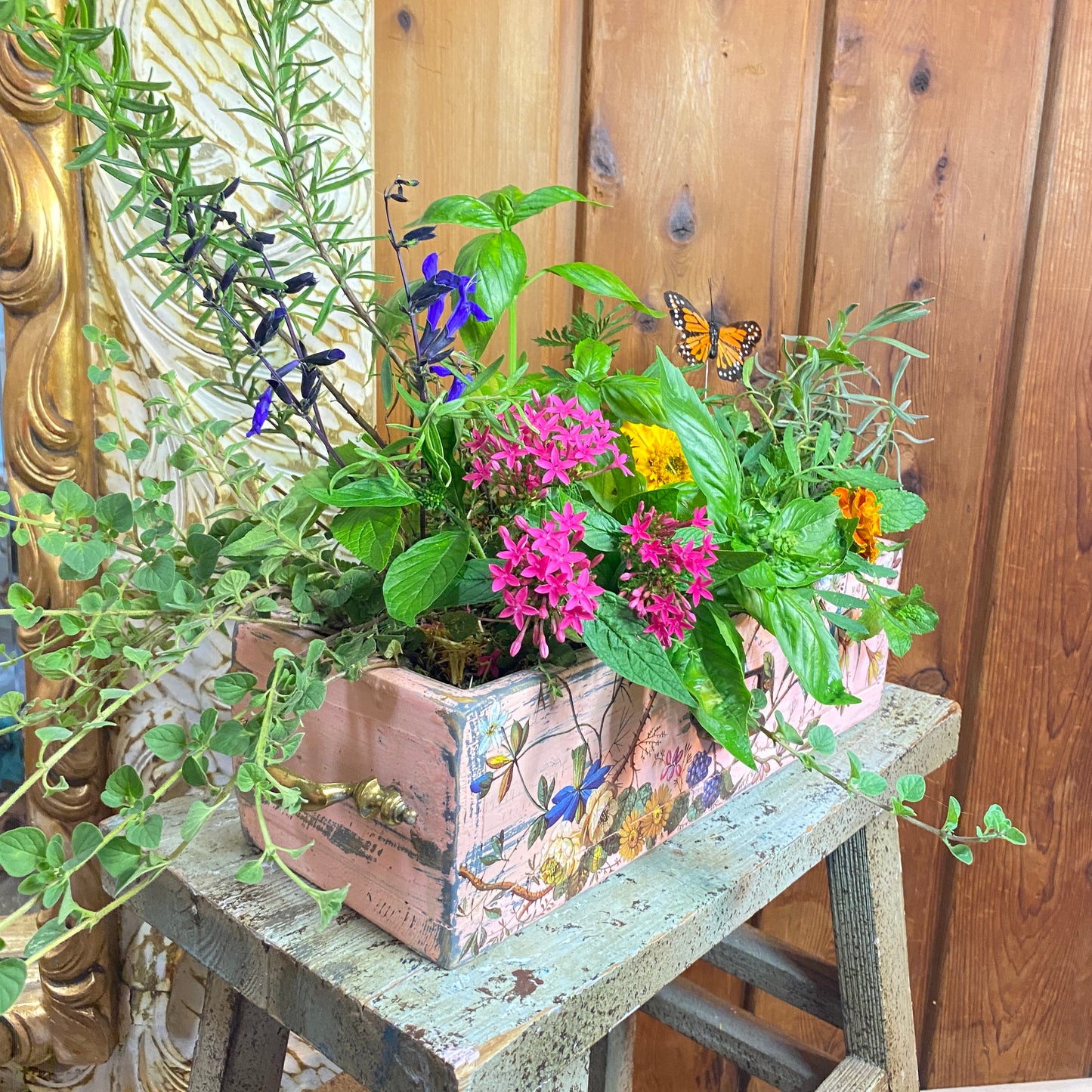 Colorful flowers in a decorative wooden box on a wooden stool with a butterfly.