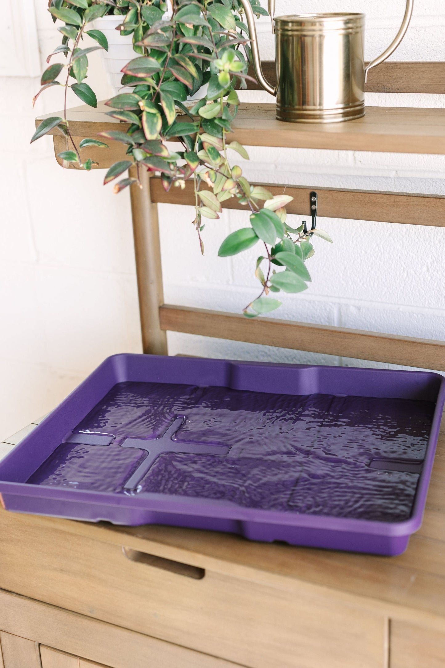 GreenStalk Garden Seed Starter Kit with Domes