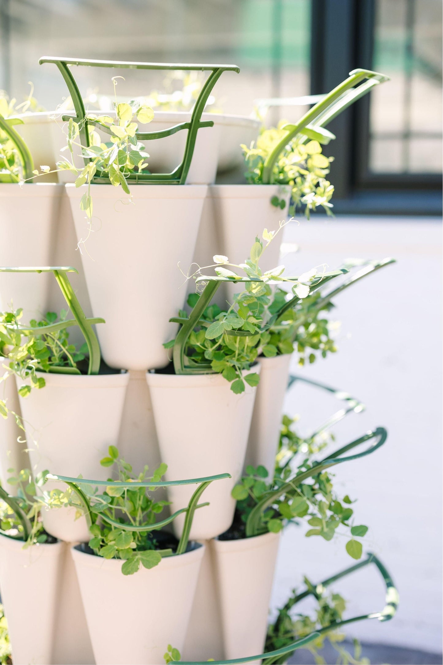 GreenStalk Garden Trellis - Set of 3