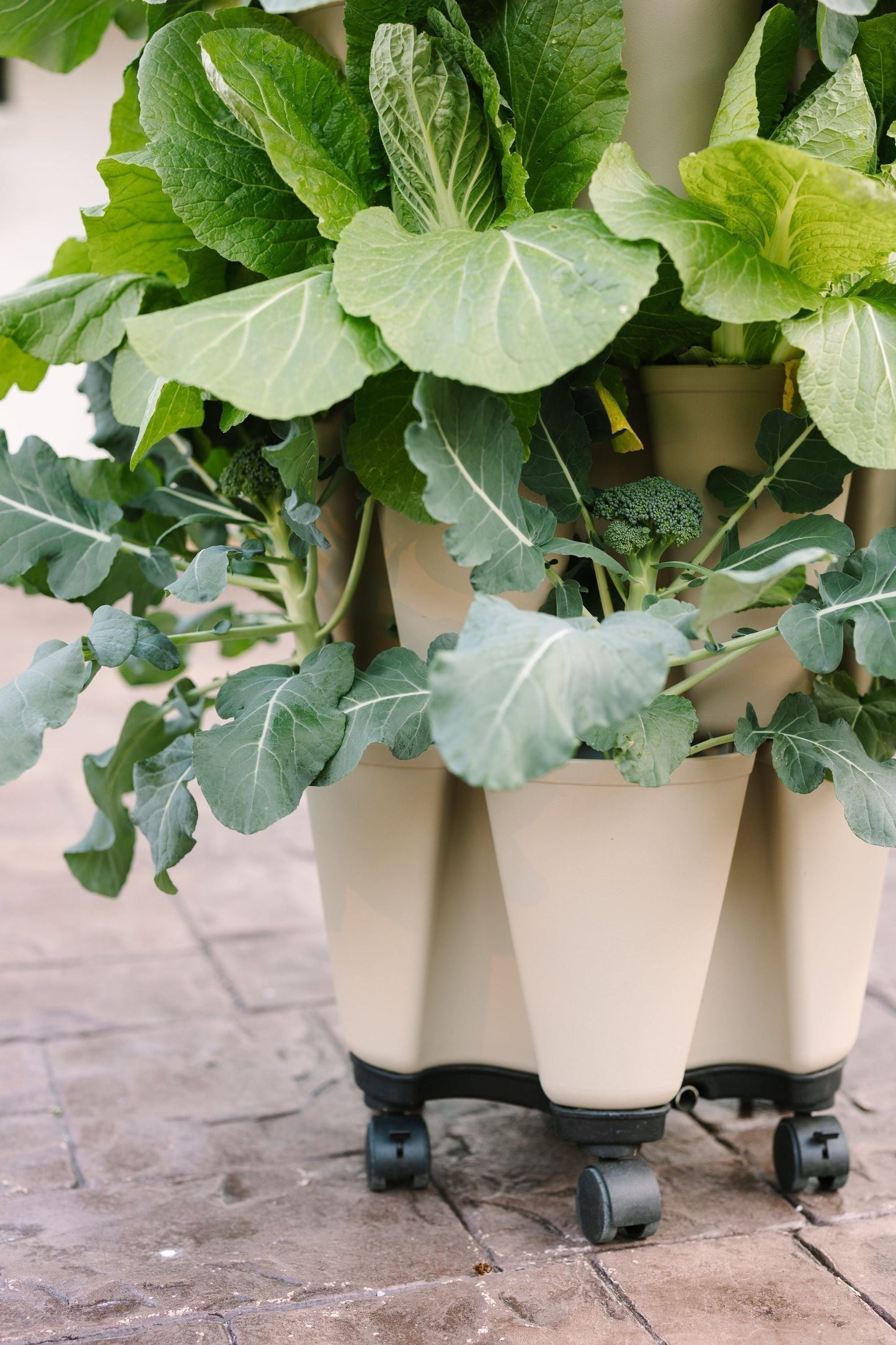 GreenStalk Garden Mover