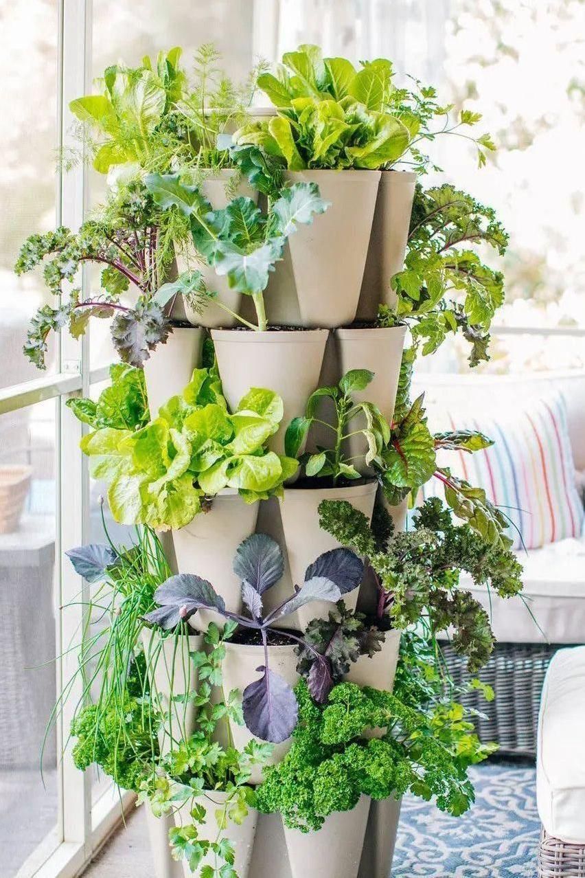 5 Tier GreenStalk Garden Original Vertical Planter - Basic Texture