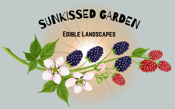 SunKissed Garden