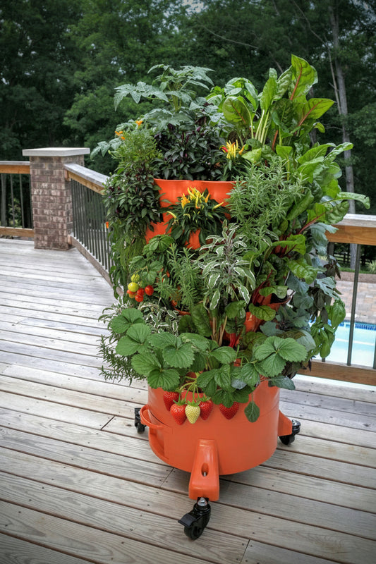 Orange vertical garden with plants on a wooden deck